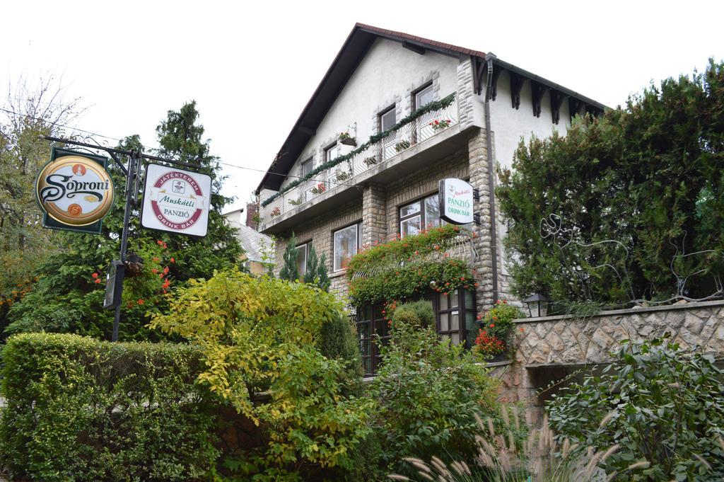 Bed and Breakfast Muskatli Panzio à Győr Extérieur photo